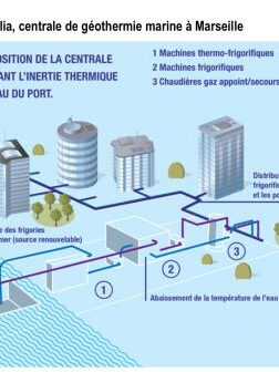 thassalia1, janv. 2015