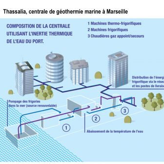 thassalia1, janv. 2015