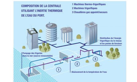thassalia1, janv. 2015