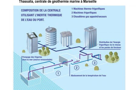 thassalia1, janv. 2015