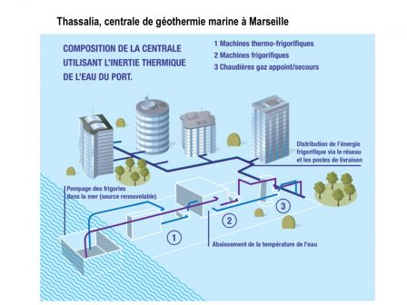 thassalia1, janv. 2015