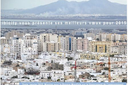 voeux 2015, janv. 2015