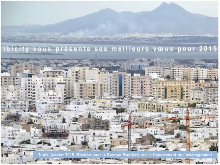 voeux 2015, janv. 2015