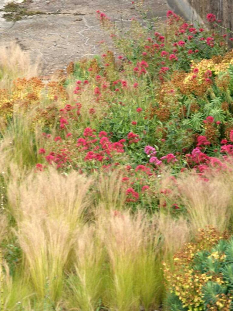 Gilles Clément jardin du tiers paysage