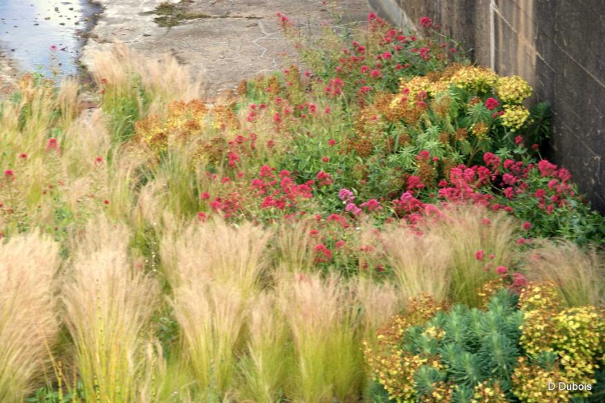 Gilles Clément jardin du tiers paysage